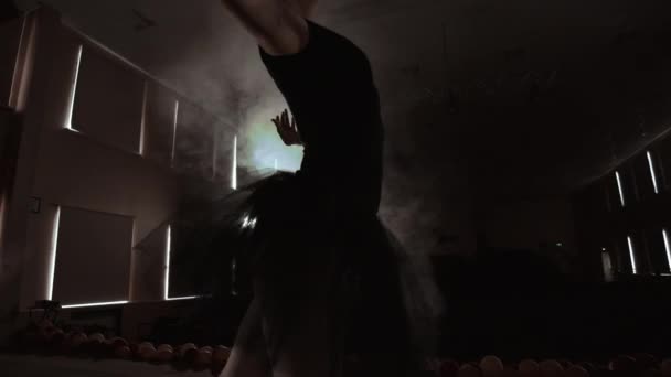 Крупним планом постріл балерин ніг. Вона танцює на своєму Пуент балетного взуття. Вона носить чорну Туту сукню. Постріл в яскравій і сонячній студії. В повільному русі — стокове відео