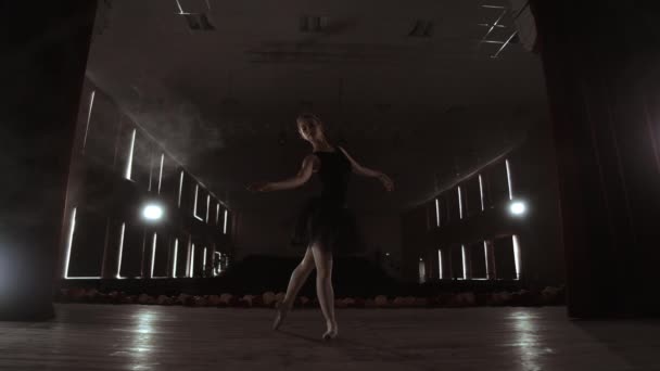 Ung vacker ballerina på rök scenen dansar modern balett. Utför jämna rörelser med händerna. — Stockvideo