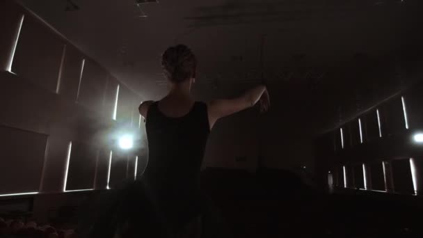 Une ballerine danse dans un hall avec des sièges vides. Une danseuse jouit du calme d'une scène vide et aucun public . — Video