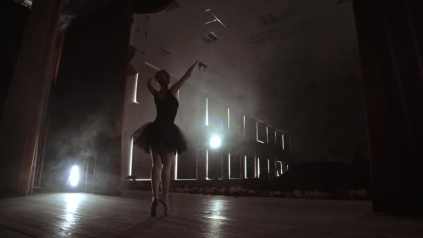 Eine Ballerina tanzt in einem Saal mit leeren Sitzen. eine Tänzerin genießt die Ruhe einer leeren Szene und kein Publikum. — Stockvideo