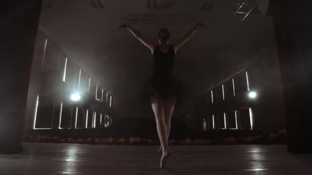 バレリーナは空席のあるホールで踊ります。女性ダンサーは、空っぽのシーンの静けさを楽しみ、観客なし. — ストック動画
