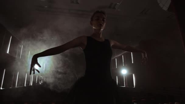 Kunst und Unterhaltung im Theater mit einer klassischen Tänzerin im Tutu, die hinter den Kulissen steht und das Parkett betrachtet. — Stockvideo
