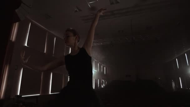 Slow Motion: Close-up van de poten van de ballerina's in de ptellingen en soepele beweging van de camera langs de verticale as. Portret van een ballerina. — Stockvideo