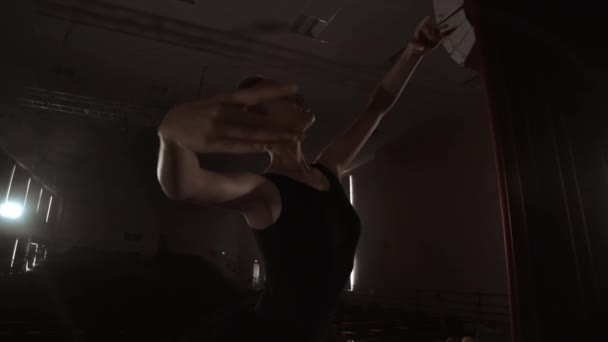 Silhouette de jeune danseuse de ballet debout devant la caméra. Silhouette légère de la jeune ballerine élégante debout dos à la caméra en deuxième position pose des bras sur . — Video