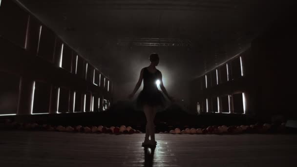 Elegant balettdansare i svart Tutu i Studio med rök. Och bakgrundsbelyst. — Stockvideo