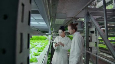 Modern bilim adamları, Vejetaryen ürünlerinin modern üretiminde genetik mühendislikle uğraşmaktadır. Otomatik sebze üretimi için modern çiftlik.