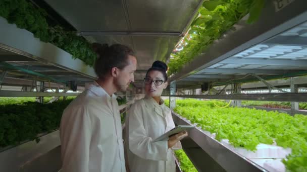 Cientistas modernos estão envolvidos em engenharia genética na produção moderna de produtos vegetarianos. Fazenda moderna de produção automatizada de verduras . — Vídeo de Stock