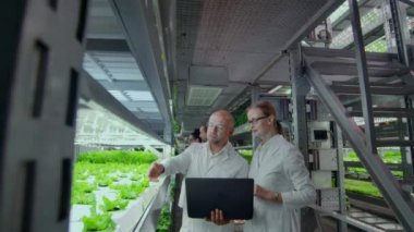 Sera 'da organik hidroponik sebze bahçesi çalışma için tablet ile beyaz takım modern bilim adamları biyoteknoloji bilim adamı grubu.