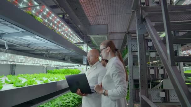 Un team di scienziati esplora le verdure coltivate in aziende agricole verticali utilizzando computer e tablet. Azienda agricola del futuro, prodotti freschi e puliti senza OGM — Video Stock