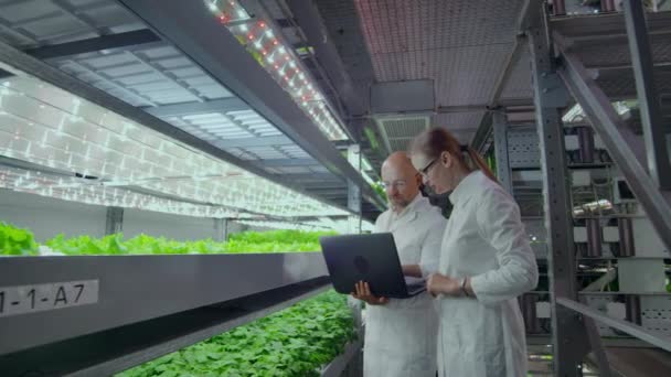 Système agricole vertical moderne et ses employés qui s'occupent des plantes. Production alimentaire végétale en couches empilées verticalement — Video