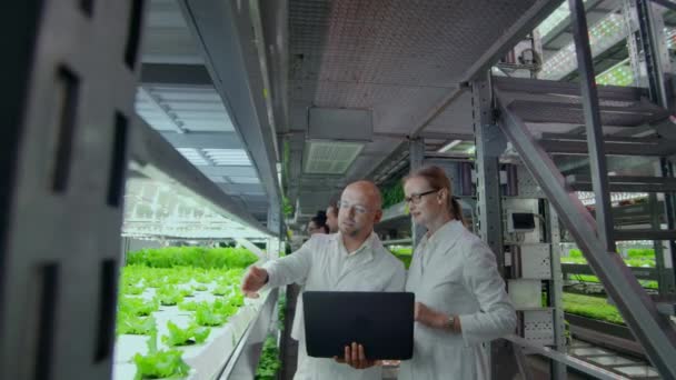 Grupp av moderna vetenskapsmän bioteknikforskare i vit kostym med tablett för att arbeta ekologisk hydroponiska grönsaksland vid växthuset. — Stockvideo