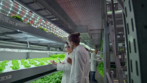 Nowocześni naukowcy zajmują się rozwojem zdrowej produkcji żywności, rozwijając je w pionowych zautomatyzowanych gospodarstwach rolnych. Analiza danych za pomocą komputera przenośnego i tabletu. — Wideo stockowe