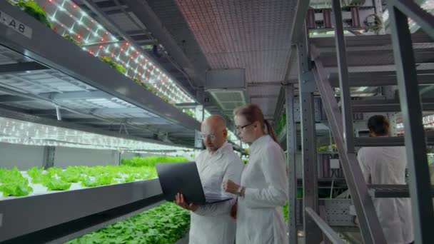 Les agriculteurs modernes du futur surveillent la croissance des plantes et cultivent des produits naturels purs et non modifiés dans des exploitations verticales hydroponiques. — Video