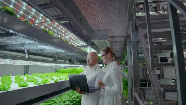 Los científicos modernos se dedican a la ingeniería genética en la producción moderna de productos vegetarianos. Granja moderna para la producción automatizada de verduras . — Vídeo de stock