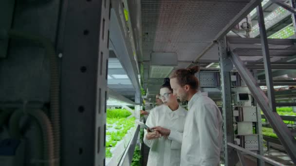 En grupp forskare som använder modern teknik för att övervaka tillväxten av hälsosamma grönsaker på en automatiserad vertikal gård med hydroponics system. — Stockvideo