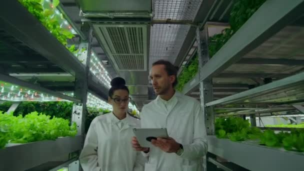 Agricultores modernos do futuro monitoram o crescimento de plantas e cultivam produtos naturais puros e não modificados em fazendas verticais com hidroponia — Vídeo de Stock