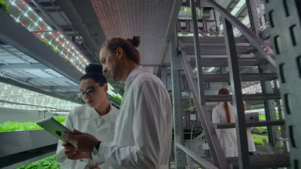 Ученые в белых халатах с планшетом обсуждают исследования по выращиванию свежих здоровых растений без ГМО на современной вертикальной ферме — стоковое видео