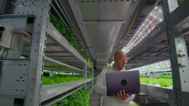 Científicos en batas blancas con un portátil y una tableta analizan el trabajo de una granja vertical para cultivar productos puros sin modificar en una granja automatizada. La cámara se mueve en el sitio en gimbal — Vídeo de stock