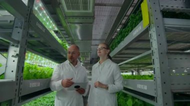 Beyaz önlüklü bir adam ve bir kadın, salata ve sebze yetiştirmek için geleceğin modern laboratuvarındalar.