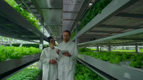 Un grupo de científicos con batas blancas están en el pasillo de una granja vertical con una tableta y discuten las plantas — Vídeo de stock