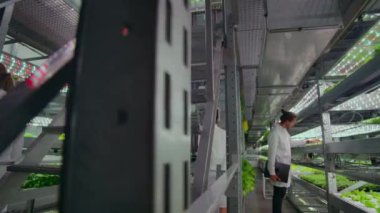 Beyaz önlüklü mikrobiyoloji, test sonuçlarını inceleyen dizüstü bilgisayarlar ve tabletlerle modern bir çiftliğe gidiyor ve yeni bitki türlerinin incelenmesi için numune topluyor..