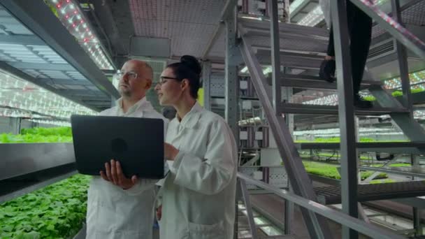 Scientists in white coats with a laptop go along the corridor of the farm with hydroponics and discuss the results of gene studies on plants. Look at the samples. — Stock Video