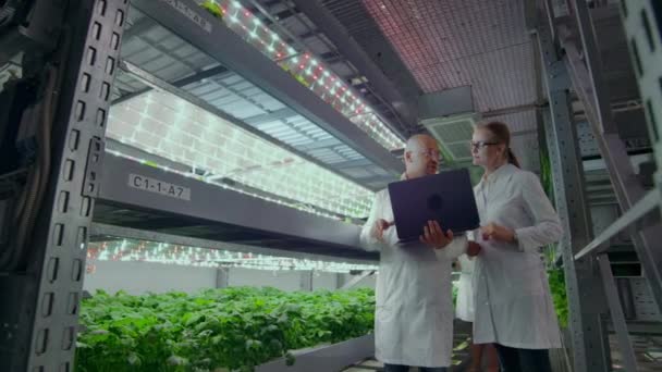 Científicos en batas blancas con un portátil y una tableta en una granja vertical con hidroponía hacen datos de investigación sobre verduras en el centro de datos para el análisis y programación de plantas de riego — Vídeo de stock