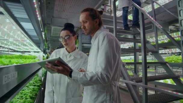 Un grupo de ingenieros en batas blancas caminan en la moderna granja vertical del futuro con computadoras portátiles y tabletas en sus manos estudiando y discutiendo los resultados del crecimiento de plantas verdes . — Vídeo de stock