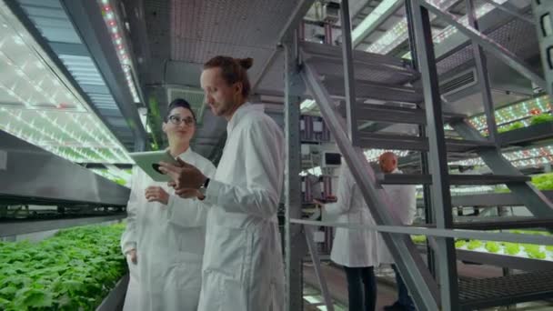Ingeniería genética. Los médicos con batas blancas miran y ajustan el trabajo de la granja vertical revisando las plantas y mirando en las pantallas de las tabletas . — Vídeos de Stock