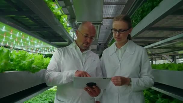 Engenharia genética. Médicos em casacos brancos olhar e ajustar o trabalho da fazenda vertical verificando as plantas e olhando para as telas de comprimidos . — Vídeo de Stock