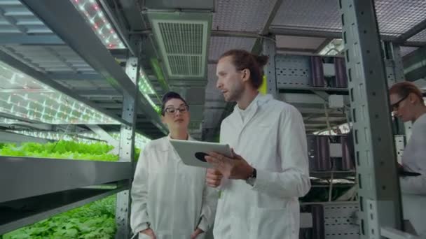 Pessoas em casacos brancos andam por uma fazenda moderna coletando estatísticas para análise e debatendo o sucesso da engenharia genética. O conceito da fazenda moderna do futuro — Vídeo de Stock