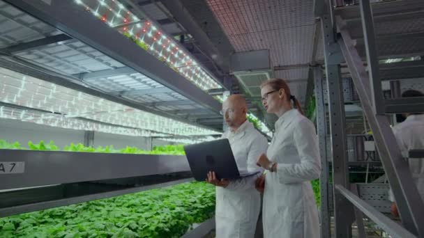 Uma equipe de cientistas homens e mulheres em casacos brancos com um laptop e um tablet analisa o trabalho de uma fazenda vertical para o cultivo de vegetais e alface. O conceito de fazendas modernas — Vídeo de Stock