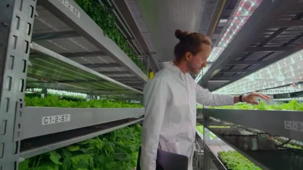 Bir hidroponik çiftlikte dizüstü bilgisayar ve tablet ile beyaz önlüklü bir grup insan bitki sulama analizi ve programlama için veri merkezine sebze ler hakkında araştırma verileri katkıda — Stok video