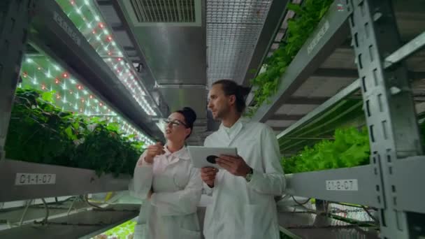 Los científicos en batas blancas con una computadora portátil van a lo largo del corredor de la granja con hidroponía y discuten los resultados de los estudios de genes en las plantas. Mira las muestras. . — Vídeo de stock