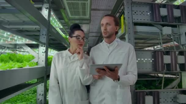 Lidé v bílých kabátech chodí po moderní farmě sbírat statistiky pro analýzu a debatují o úspěchu genetického inženýrství. Koncept moderního hospodářství budoucnosti — Stock video