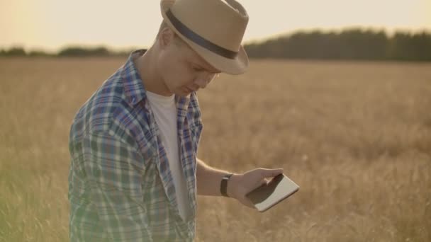 Молодой фермер держит планшет на пшеничном поле . — стоковое видео