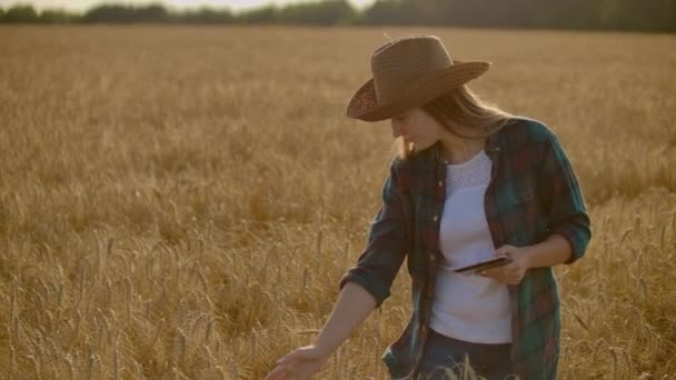 Žena zemědělce s tabletem. Chytré zemědělství a digitální zemědělství — Stock video
