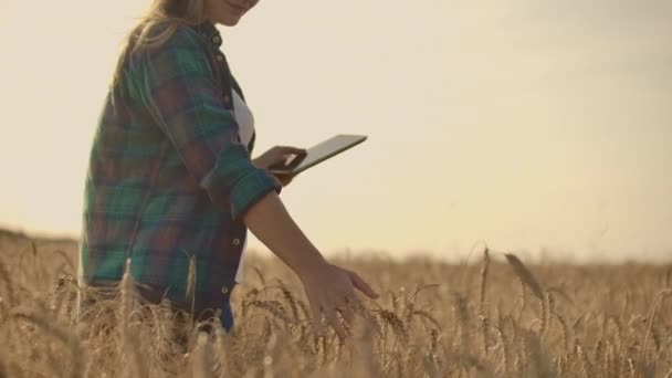 Uma agricultora com tablet. Agricultura inteligente e agricultura digital — Vídeo de Stock