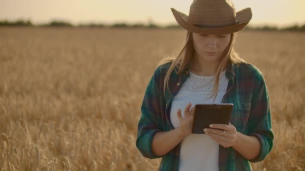 Крупный план женщины-фермера, идущей с табличкой в поле с ржаным ржаным хлебом, касается шипов и прижимает палец к экрану, вертикальное движение камеры Долли. Камера наблюдает за рукой. — стоковое видео