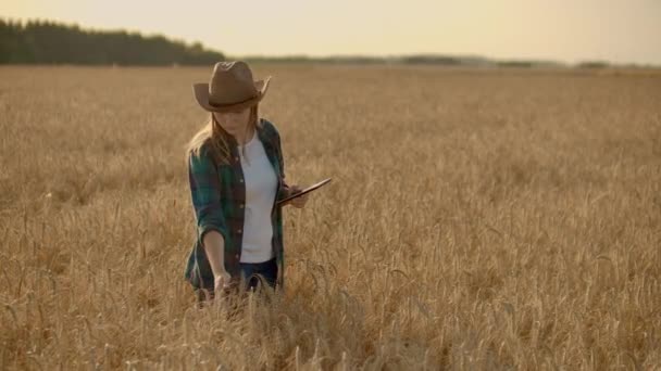 Mujer joven agricultora que trabaja con tableta en el campo al atardecer. El propietario de un concepto de pequeña empresa — Vídeos de Stock