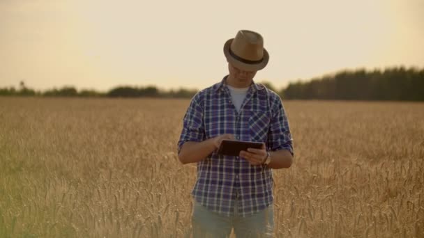 朝の日の出の間に彼の農場の金色の小麦畑を歩くスタイリッシュな古い白人農家. — ストック動画