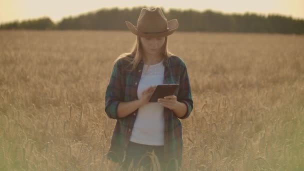 Une agricultrice en chemise et en jean accompagne une tablette dans un champ avec du seigle touche les épillets et presse son doigt sur l'écran au coucher du soleil. Mouvement des poupées . — Video