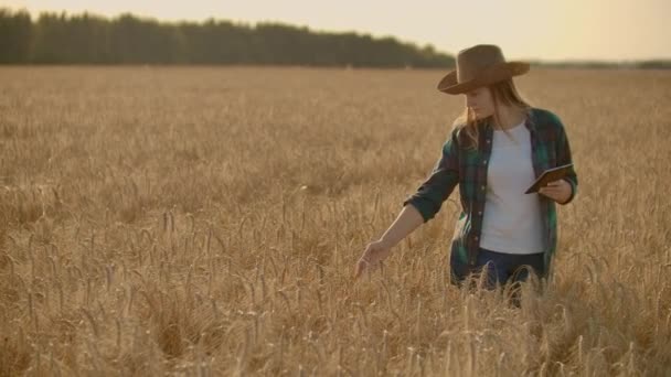 Close-up van een vrouw boer wandelen met een Tablet in een veld met rogge raakt de aartjes en drukt haar vinger op het scherm, verticale Dolly camerabeweging. De camera bekijkt de hand — Stockvideo