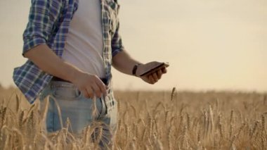 Genç erkek çiftçi holding tablet buğday alanında.