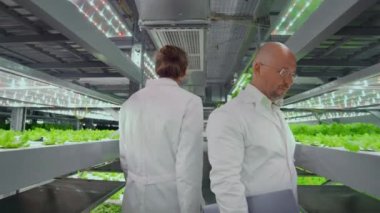 Proje Yöneticisi - büyüyen organik sebze çalışanların çalışmalarını izler ve hasat sonuçlarını anketler. Kamera başı takip.