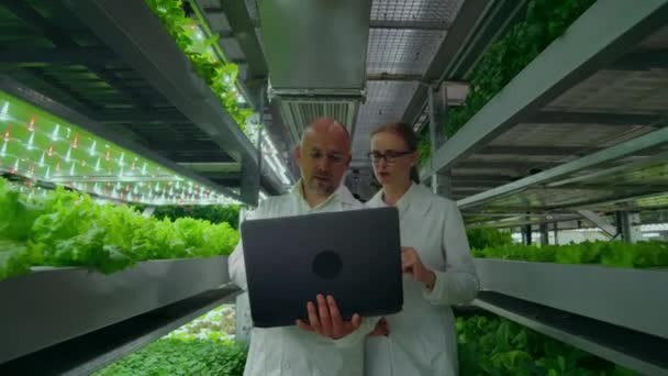 El hombre y una mujer con una computadora portátil en batas blancas, los científicos van por el pasillo vertical granja . — Vídeo de stock