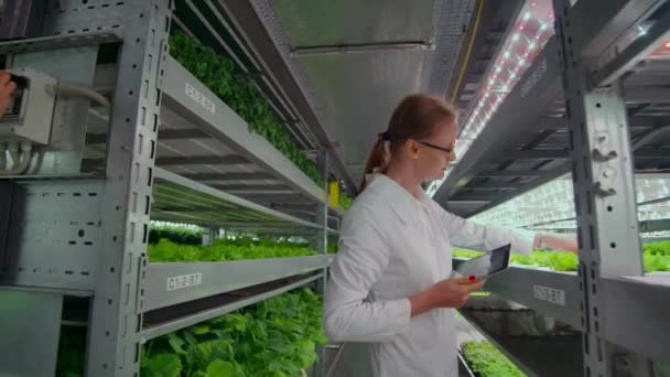 Un groupe d'hommes et de femmes en manteaux blancs avec des tablettes et des ordinateurs à la main. analyser et faire l'information de base de données sur les légumes et les herbes cultivés . — Video