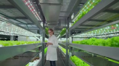 Agronomists biyologlar Takım çalışması Kamera modern bir çiftliğin koridor boyunca hareket, modern bir şehrin kirli bir ortamda bitki büyüyen bilim adamlarının çalışmalarını gösteren.