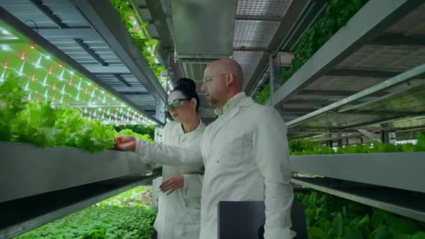 Obrácený pohyb kamery podél koridoru, moderní vertikální farma s hydrofony, vědci v bílých kabátech, zabývající se pěstováním zeleniny a rostlin. — Stock video