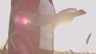 Elinde tablet bilgisayar olan ekose gömlekli bir kadın çiftçi gün batımında buğday tarlasında yürüyor, kontrol ediyor. Mahsulün kalitesi ve olgunluğu.